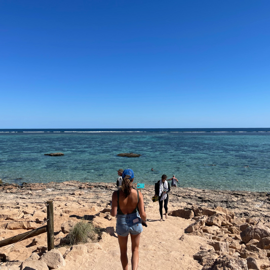Oyster Stacks Snorkelling