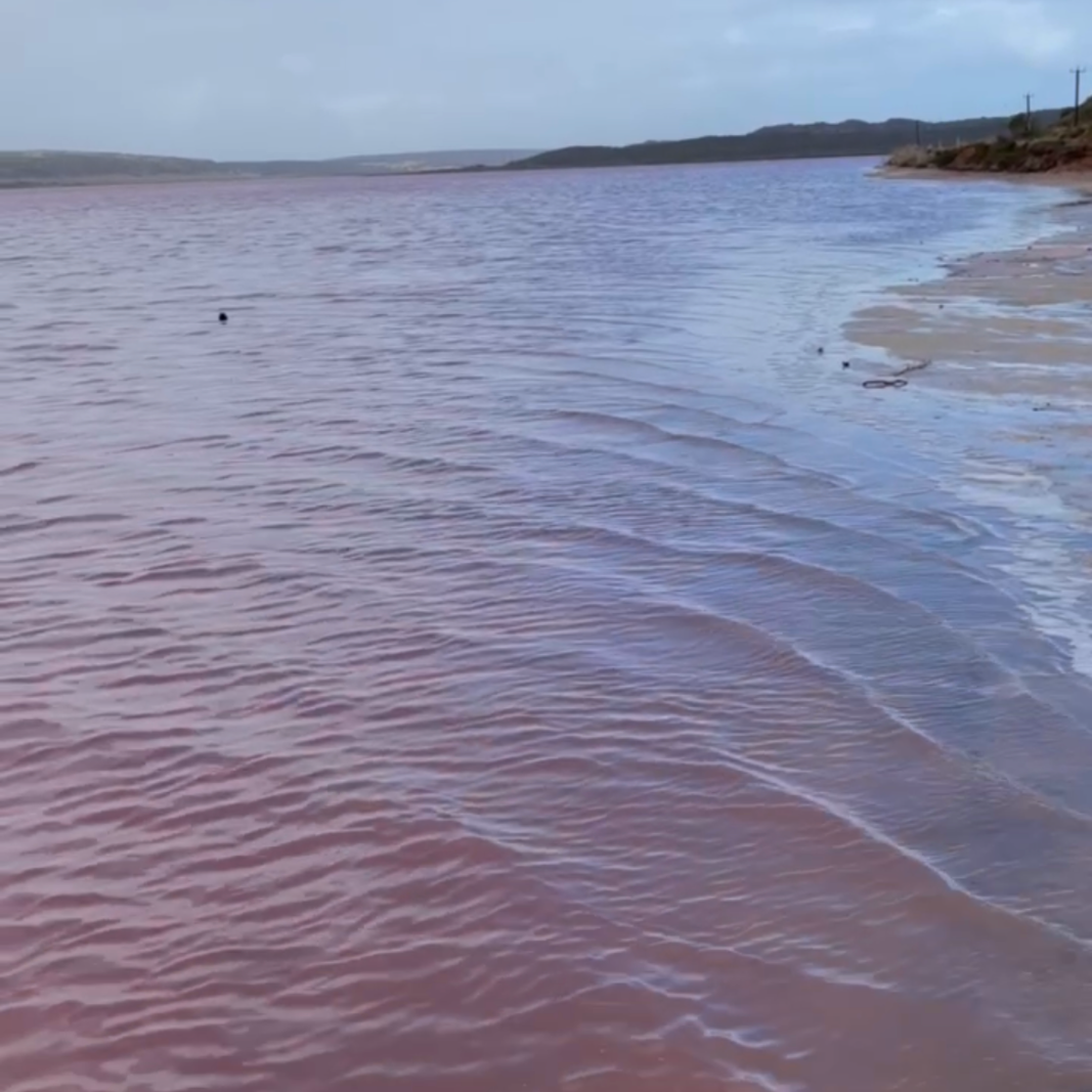 Hutt Lagoon / Pink Lake