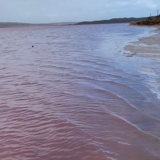 Hutt Lagoon / Pink Lake