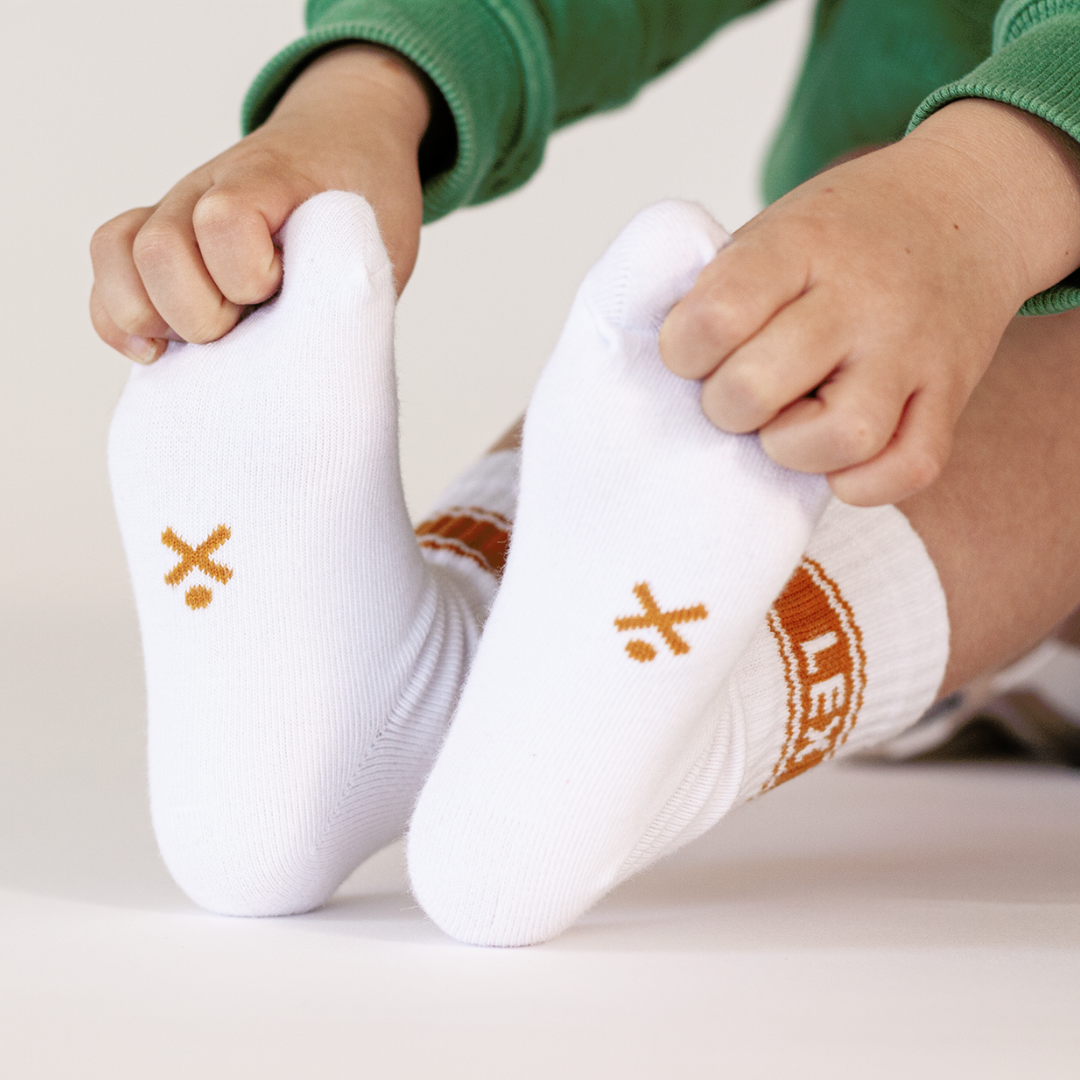 WANDER CREW SOCKS (RUSTY STRIPE)